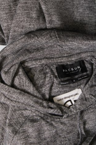 Ανδρικό φούτερ PacSun, Μέγεθος M, Χρώμα Γκρί, Τιμή 13,49 €