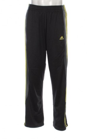 Herren Sporthose Adidas, Größe L, Farbe Schwarz, Preis 30,99 €