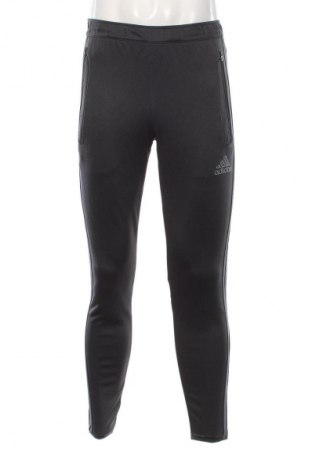 Herren Sporthose Adidas, Größe S, Farbe Grau, Preis € 25,99