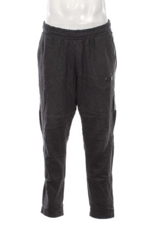 Herren Sporthose PUMA, Größe XL, Farbe Grau, Preis 28,99 €