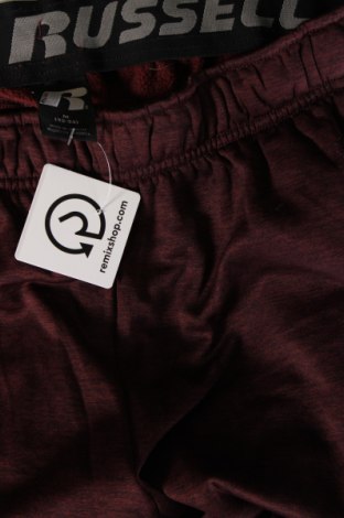 Herren Sporthose Russell, Größe M, Farbe Rot, Preis € 10,99