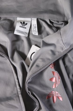 Ανδρική αθλητική ζακέτα Adidas Originals, Μέγεθος M, Χρώμα Γκρί, Τιμή 22,99 €