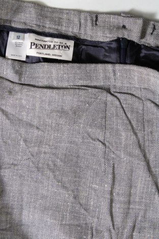 Φούστα Pendleton, Μέγεθος M, Χρώμα Πολύχρωμο, Τιμή 38,99 €