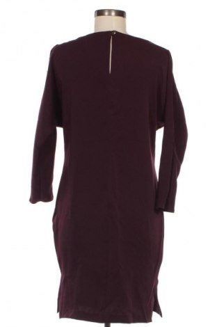 Kleid Closet London, Größe S, Farbe Lila, Preis € 29,99