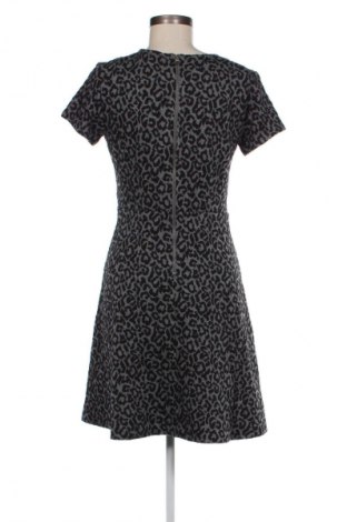 Kleid Loft By Ann Taylor, Größe M, Farbe Mehrfarbig, Preis € 8,99