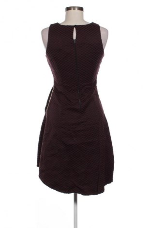 Kleid Lucy, Größe S, Farbe Lila, Preis € 8,99