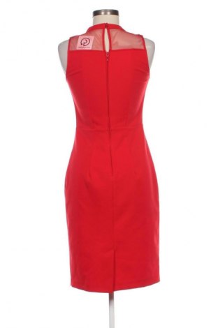 Kleid Orsay, Größe S, Farbe Rot, Preis 19,49 €