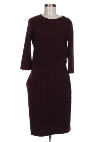 Kleid WINDSOR., Größe M, Farbe Lila, Preis € 29,99