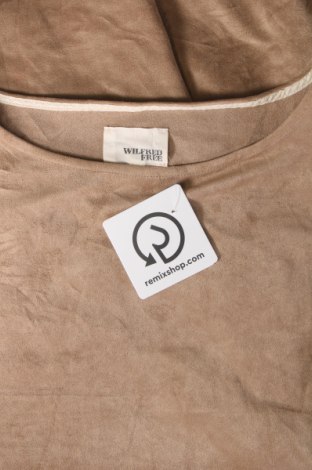 Kleid Wilfred Free, Größe S, Farbe Beige, Preis € 28,99