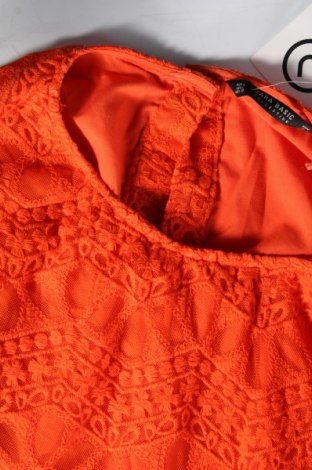 Kleid Zara, Größe L, Farbe Orange, Preis € 9,99