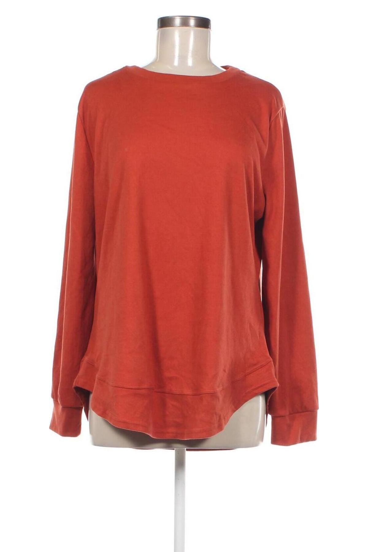 Damen Shirt, Größe XL, Farbe Braun, Preis € 13,49