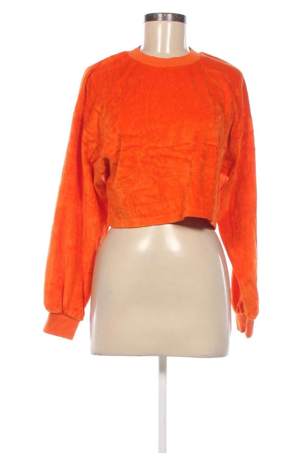 Damen Shirt Bershka, Größe S, Farbe Orange, Preis 13,49 €