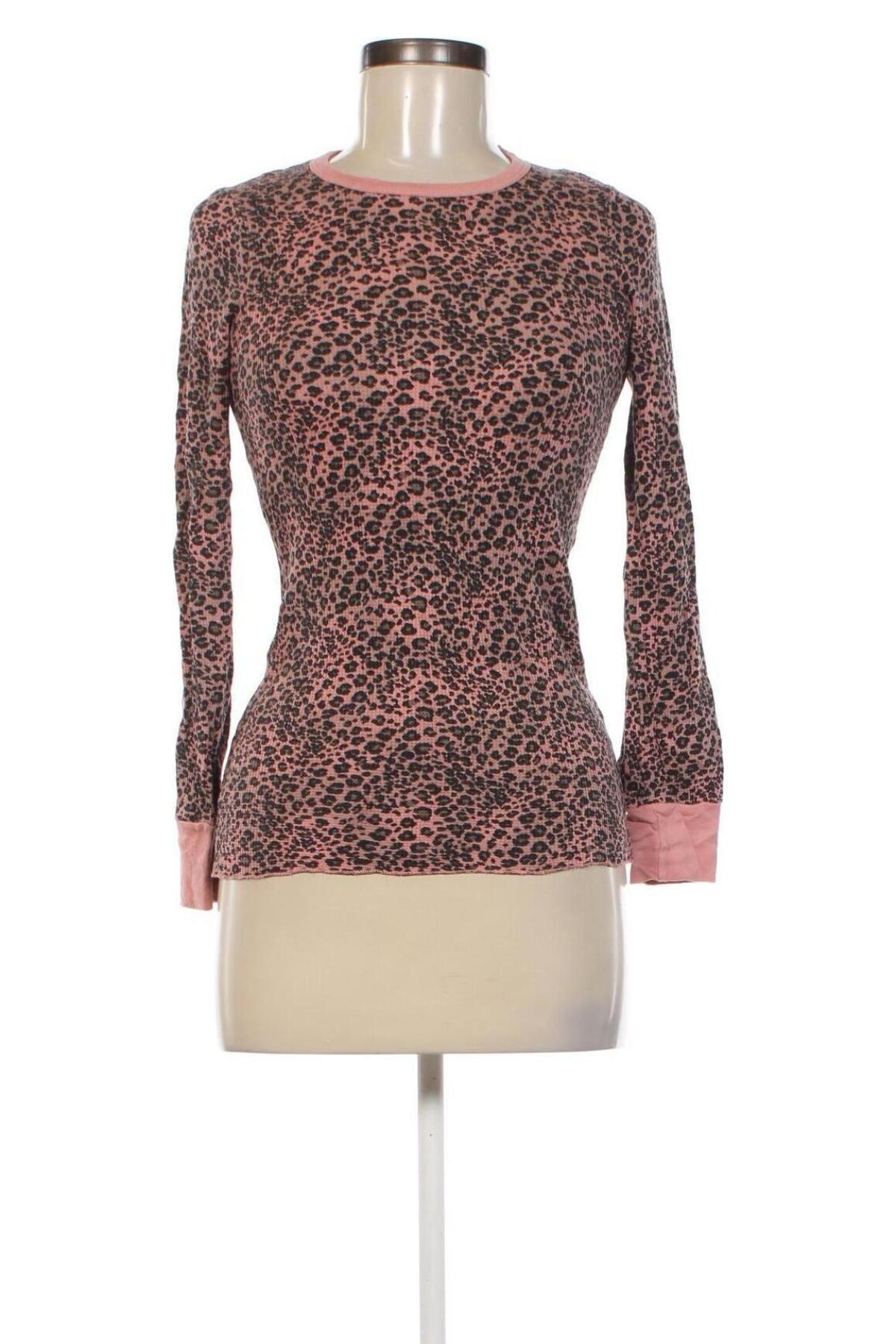 Damen Shirt Splendid, Größe S, Farbe Mehrfarbig, Preis € 33,99