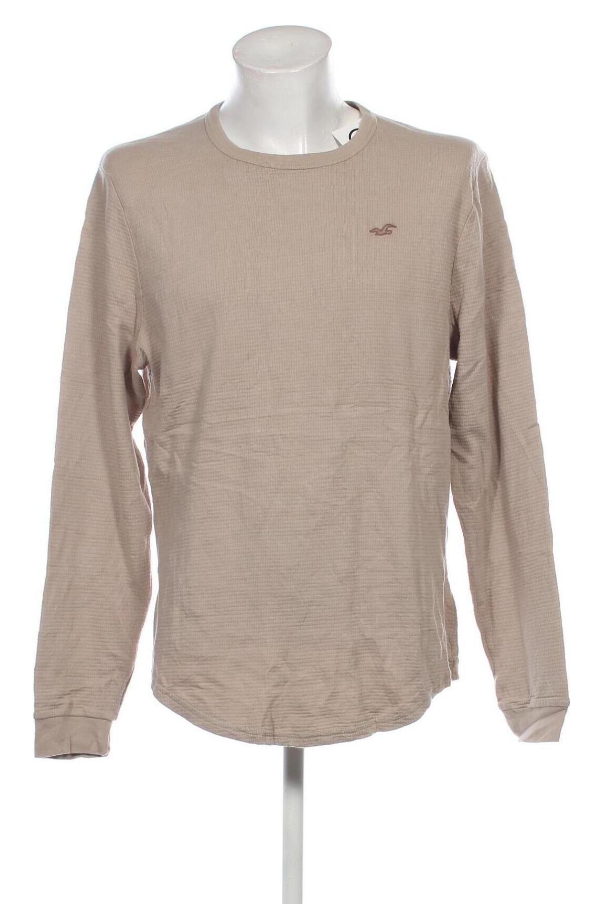 Herren Shirt Hollister, Größe XL, Farbe Beige, Preis € 9,99