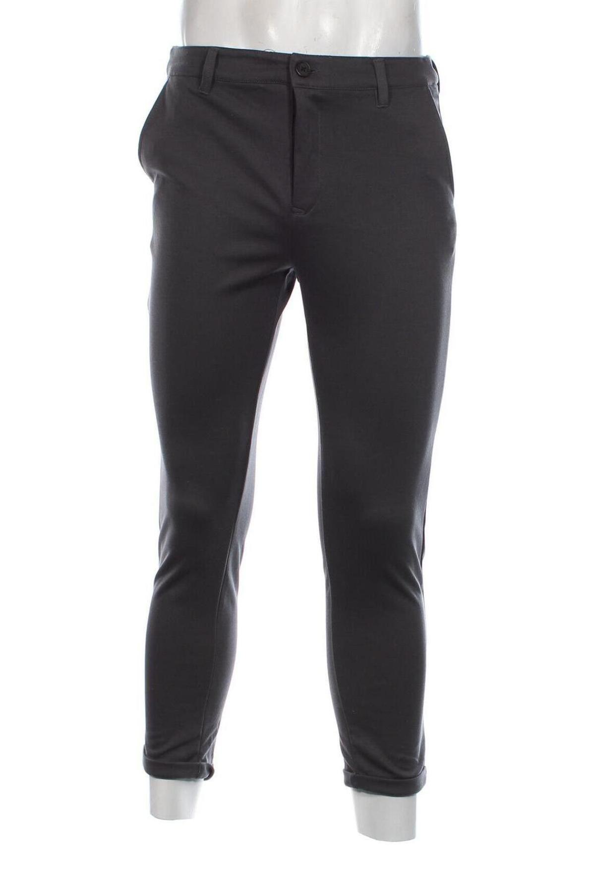 Herrenhose Smog, Größe S, Farbe Grau, Preis € 9,99