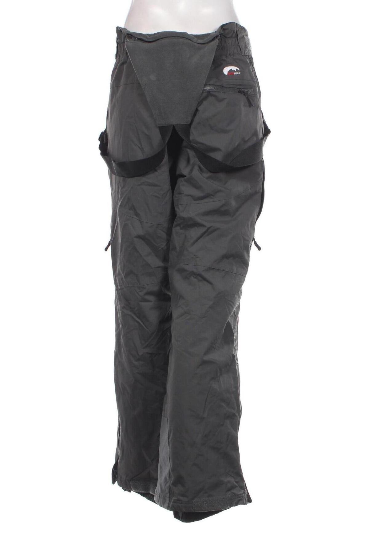 Herrenhose für Wintersport Snowgear by TCM, Größe M, Farbe Grau, Preis 40,49 €