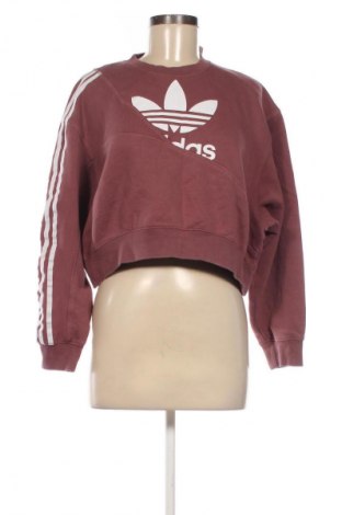 Damen Shirt Adidas Originals, Größe XS, Farbe Rosa, Preis € 23,99