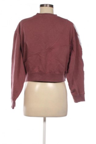 Damen Shirt Adidas Originals, Größe XS, Farbe Rosa, Preis € 23,99