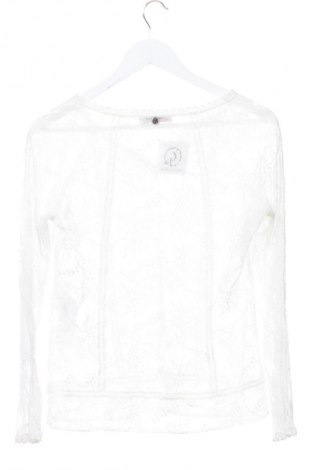 Дамска блуза Comma,, Размер XS, Цвят Екрю, Цена 15,99 лв.