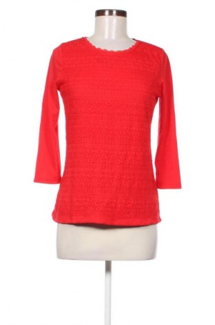 Damen Shirt Dorothy Perkins, Größe M, Farbe Mehrfarbig, Preis 13,82 €