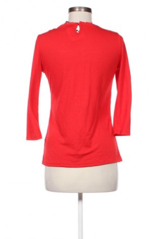 Damen Shirt Dorothy Perkins, Größe M, Farbe Mehrfarbig, Preis 13,82 €