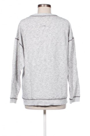 Damen Shirt Hollister, Größe S, Farbe Mehrfarbig, Preis € 17,00