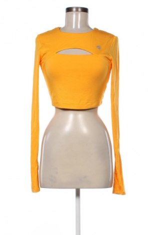 Damen Shirt Oceans Apart, Größe S, Farbe Orange, Preis € 24,48