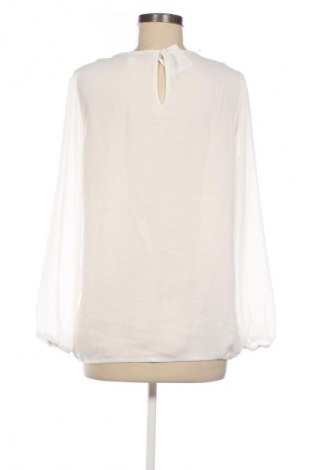 Damen Shirt Patrizia Dini, Größe S, Farbe Weiß, Preis 11,99 €