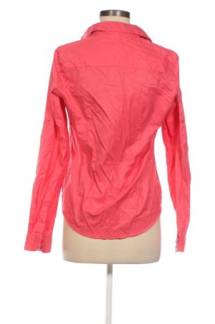 Damen Shirt Piazza Italia, Größe M, Farbe Rosa, Preis 9,72 €