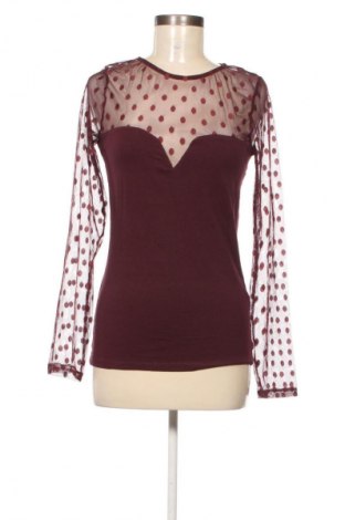 Damen Shirt Terranova, Größe L, Farbe Rot, Preis € 10,00