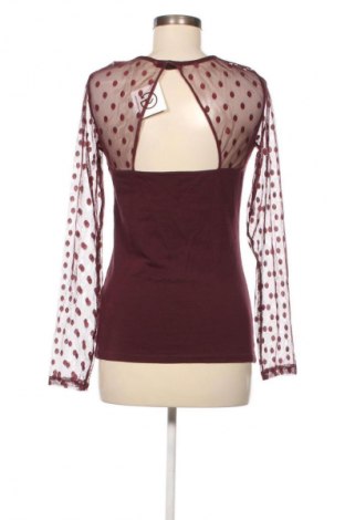 Damen Shirt Terranova, Größe L, Farbe Rot, Preis € 10,00