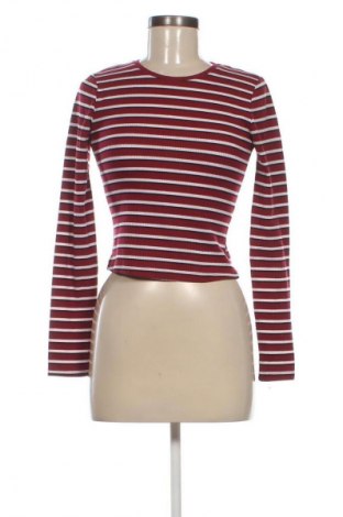 Damen Shirt Terranova, Größe S, Farbe Mehrfarbig, Preis 7,67 €
