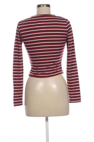 Damen Shirt Terranova, Größe S, Farbe Mehrfarbig, Preis 7,67 €