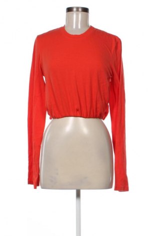 Damen Shirt Unbranded, Größe XS, Farbe Orange, Preis € 10,00