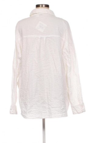 Dámska košeľa  H&M, Veľkosť XL, Farba Viacfarebná, Cena  8,95 €