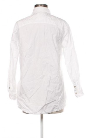 Damenbluse Massimo Dutti, Größe M, Farbe Weiß, Preis 28,00 €