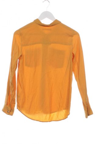 Damenbluse Sinsay, Größe XS, Farbe Gelb, Preis 12,68 €