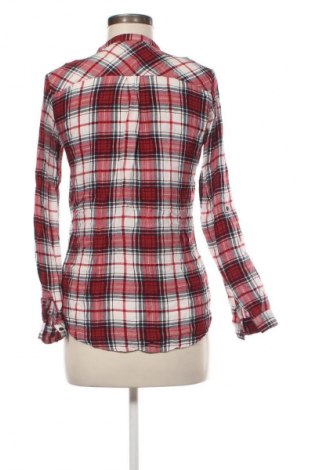 Damenbluse Terranova, Größe S, Farbe Mehrfarbig, Preis € 12,79