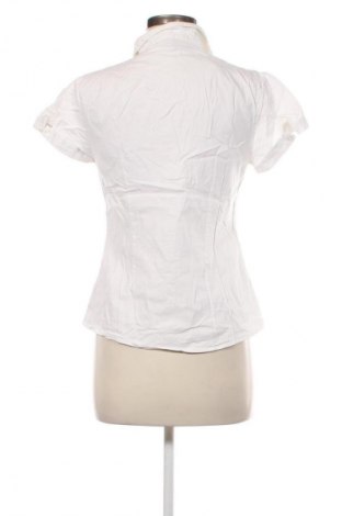 Damenbluse Unbranded, Größe XL, Farbe Weiß, Preis 12,68 €