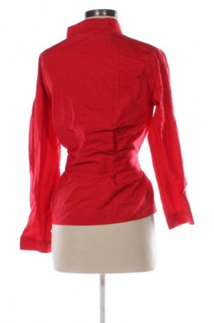 Damenbluse Zara, Größe S, Farbe Rot, Preis 13,99 €