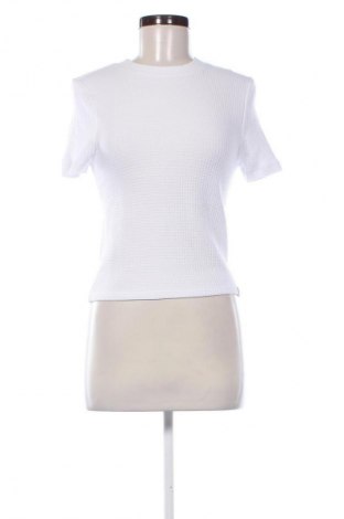 Damen T-Shirt Calvin Klein Jeans, Größe M, Farbe Weiß, Preis € 46,99