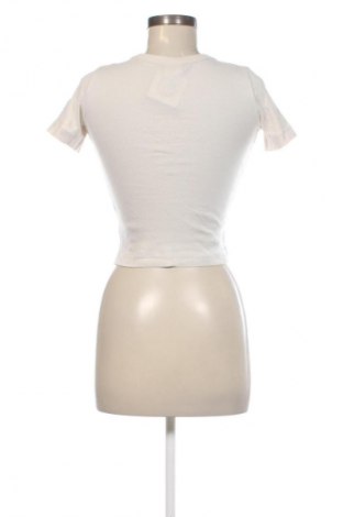 Damen T-Shirt Champion, Größe XS, Farbe Beige, Preis 14,99 €
