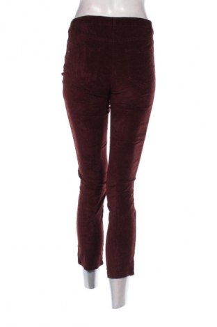 Damen Cordhose Caroll, Größe M, Farbe Rot, Preis € 23,99