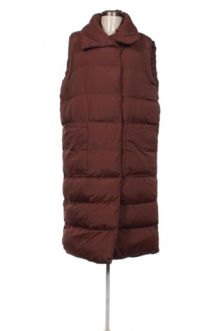 Dámska vesta  Threadbare, Veľkosť M, Farba Hnedá, Cena  44,95 €