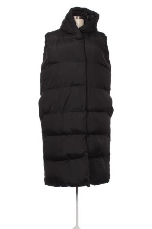 Damenweste Threadbare, Größe L, Farbe Schwarz, Preis 53,99 €