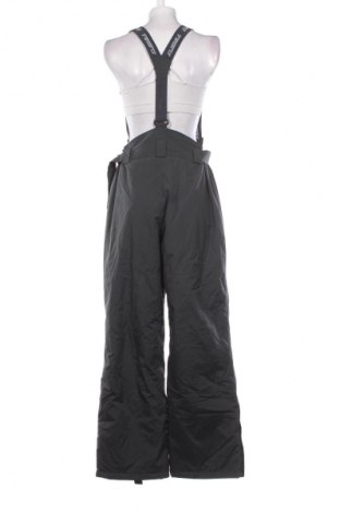 Дамски гащеризон за зимни спортове Fire Fly, Размер L, Цвят Сив, Цена 65,99 лв.