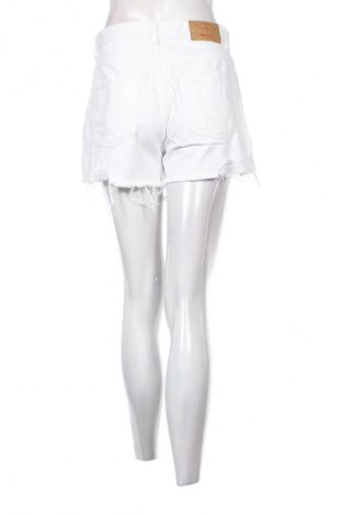 Damen Shorts Fb Sister, Größe M, Farbe Weiß, Preis € 9,72
