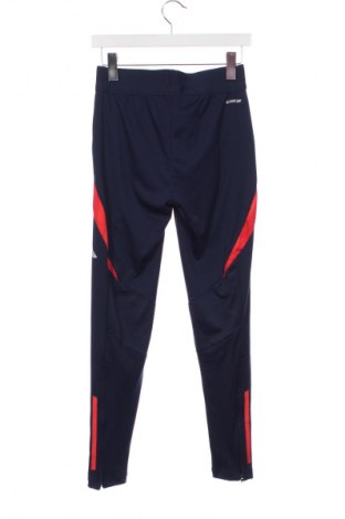 Dámske legíny  Adidas, Veľkosť XS, Farba Modrá, Cena  25,95 €