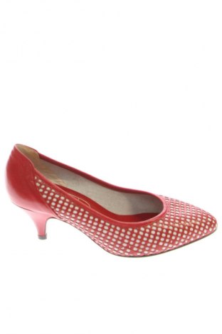 Obuwie damskie Gabor, Rozmiar 36, Kolor Czerwony, Cena 321,81 zł