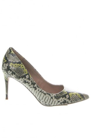 Dámske topánky  Steve Madden, Veľkosť 40, Farba Viacfarebná, Cena  67,95 €